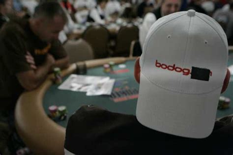 bodog sports betting illegal|Bodog founder Calvin Ayre indicted: Canadian billionaire, three others.